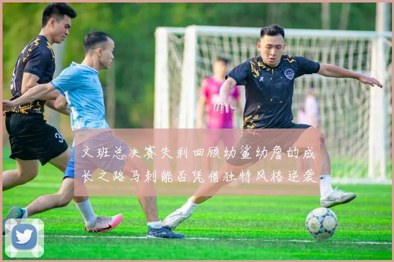 文班总决赛失利回顾幼鲨幼詹的成长之路马刺能否凭借独特风格逆袭成功